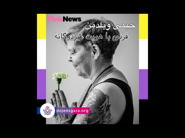 جیمی ویلدمن: فردی با هویت غیردوگانه